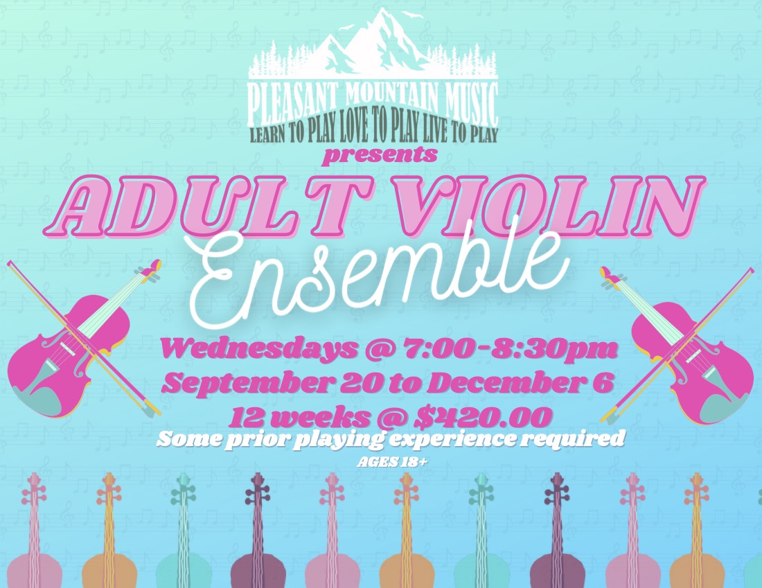 Adult Violin Ensemble