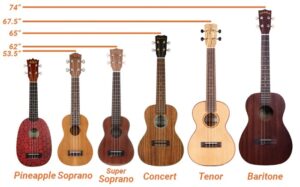A chart of various ukulele sizes