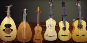 A lineup of the instruments that led to the modern guitar